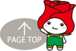 PAGE TOP
