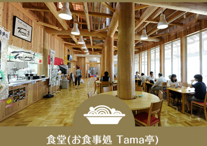 食堂（お食事処 Tama亭